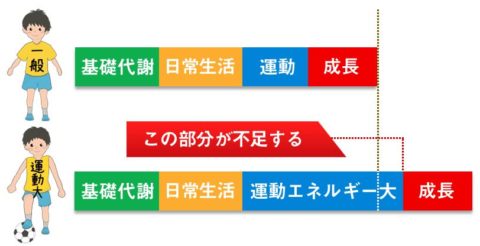 栄養素