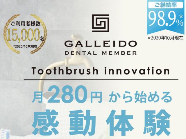GALLEIDO DENTAL MEMBER 料金