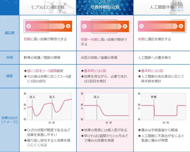 変形性ひざ関節症