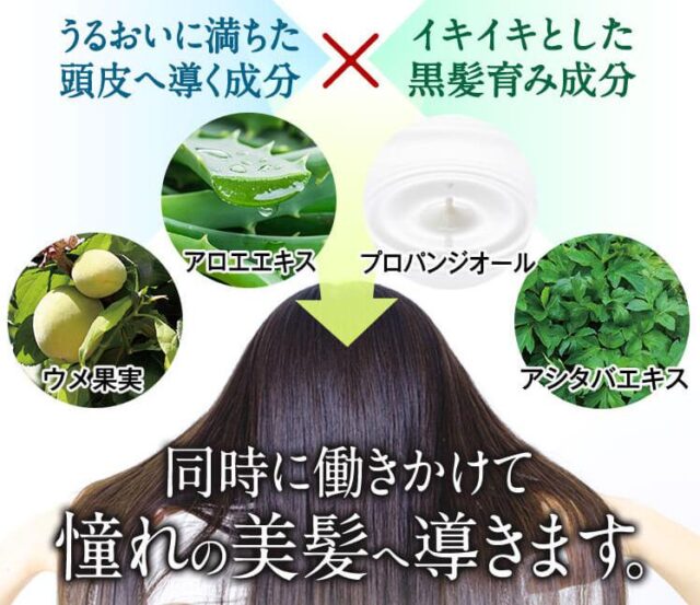 イクモアナノグロウリッチ 使い方 効果