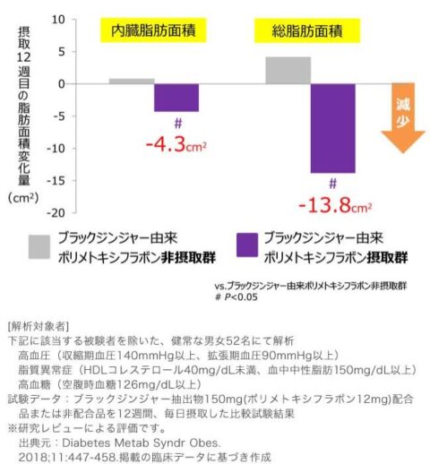 研究レビュー