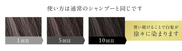 綺和美 KIWABI Root Vanish 白髪染めカラーシャンプー 使い方 効果
