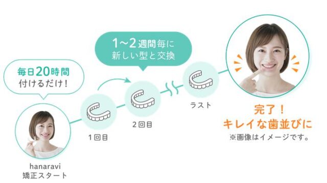 hanaravi ハナラビ 特徴