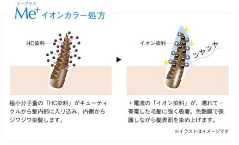 イオンカラー処方