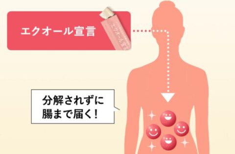 ザクロ味 ゼリー