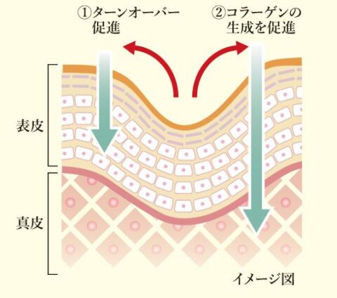 シワ改善