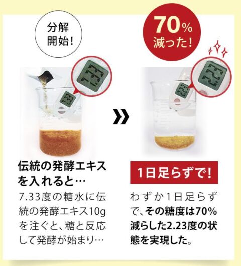 糖質分解