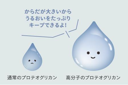 プロテオグリカン原液 高分子