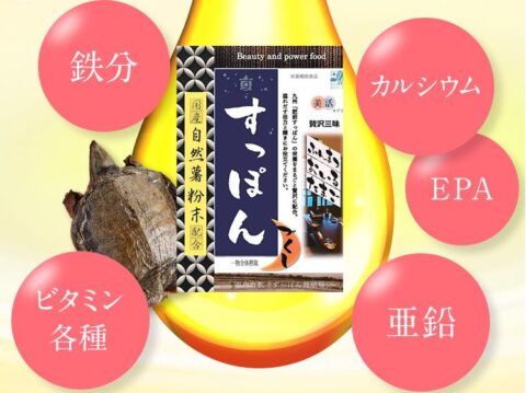 肥後産すっぽん
