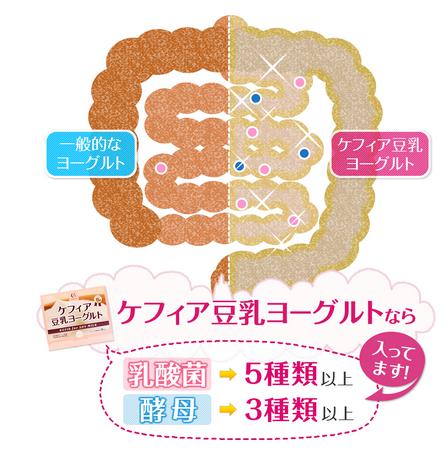 コルコル corcor ケフィア豆乳ヨーグルト 販売店 価格 最安値