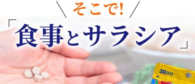 食事とサラシア 販売店 価格 最安値