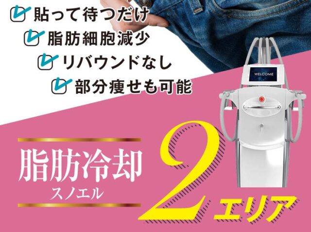 Blu CLINIC ブルークリニック 脂肪冷却 特徴