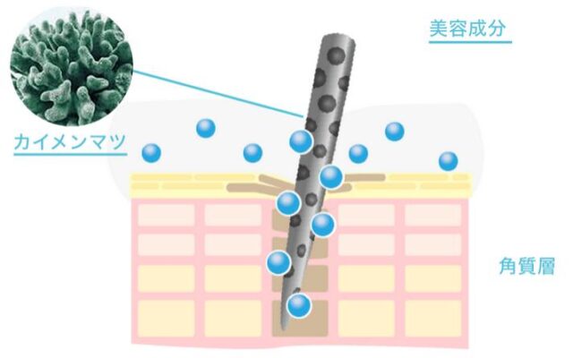 L Shot 販売店 価格 最安値