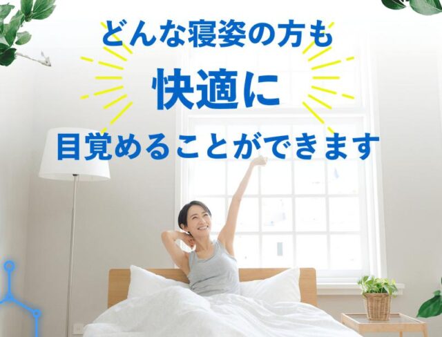 毎日、洗える、まくら。 販売店 価格 最安値