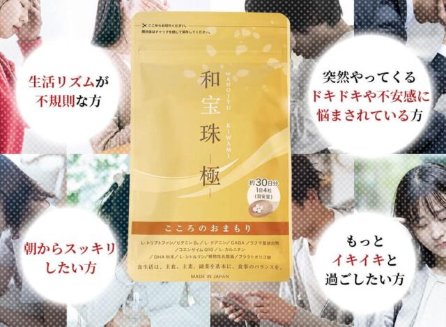 和宝珠 極 販売店 価格 最安値
