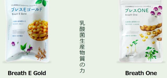 豆乳発酵食品 Breath ブレス 販売店 価格 最安値