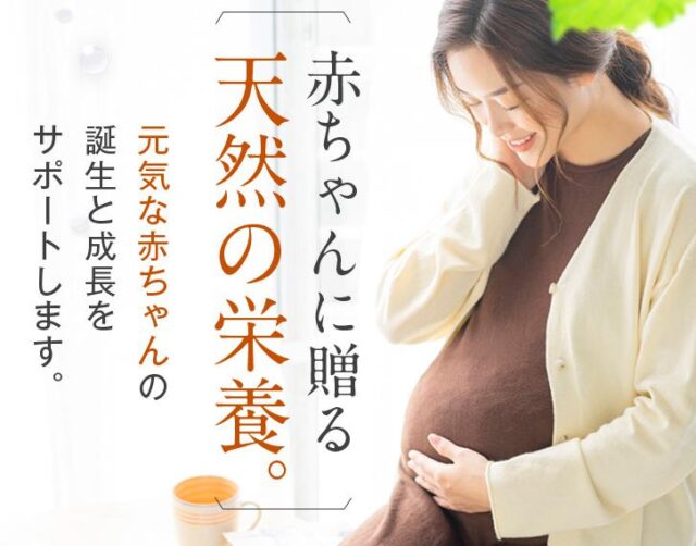 Nincal ニンカル ベジプロ＋ 販売店 価格 最安値