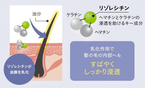 トリプルヘマチン設計