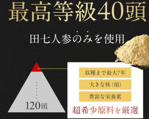 40頭 田七人参