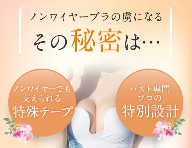 PGブラ ノンワイヤー 特徴