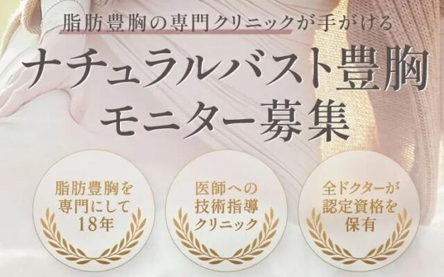 THE CLINIC ザ・クリニック 脂肪豊胸 特徴