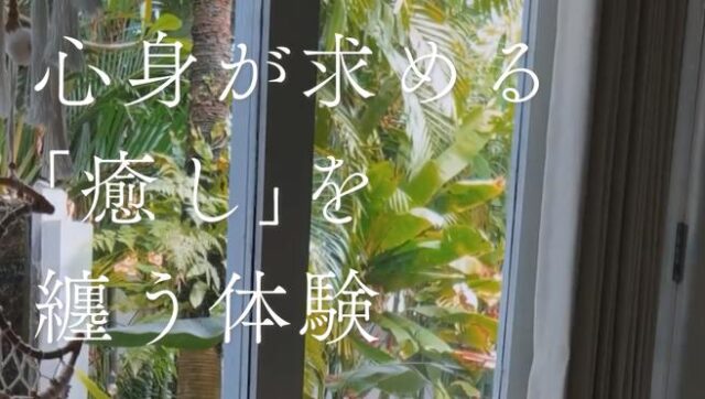 BALIPURA バリピュラ 特徴