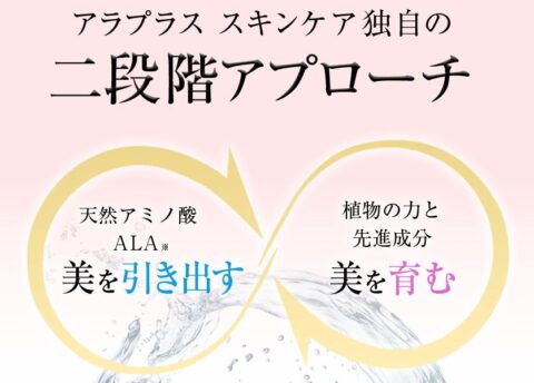 二段階アプローチ