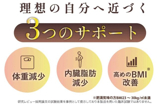 しまのや スリムストンコーヒー 特徴