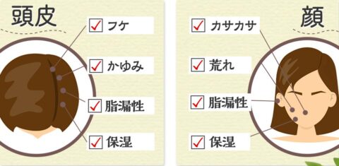 頭皮 顔 化粧水