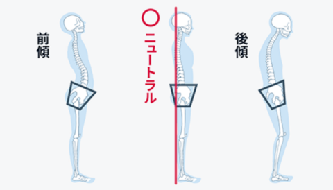 骨盤ニュートラル状態