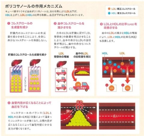 機能性表示食品