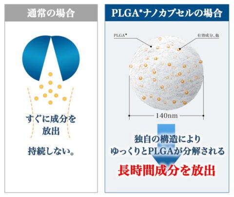 PLGAナノカプセル