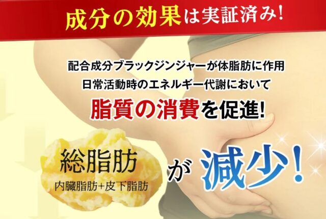アラプラス 糖脂ダウン 特徴