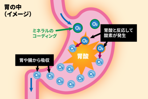 高濃度溶存酸素