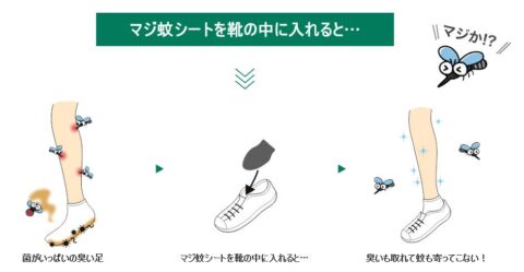 蚊よけ