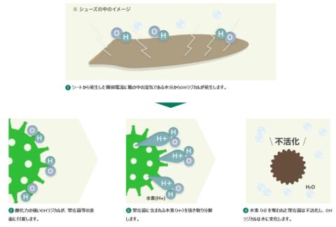 OHラジカル